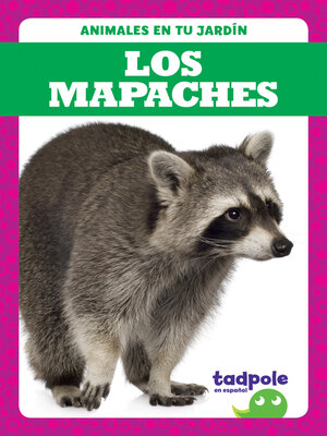 cover image of Los mapaches (Raccoons)